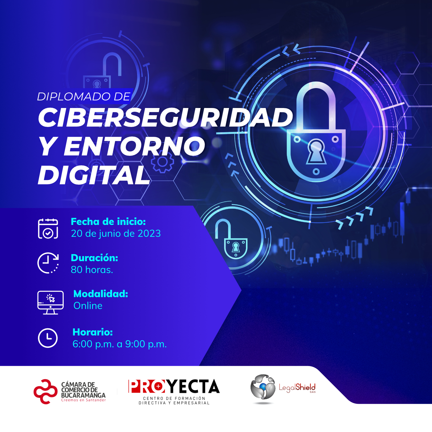 DIPLOMADO DE CIBERSEGURIDAD Y ENTORNO DIGITAL
