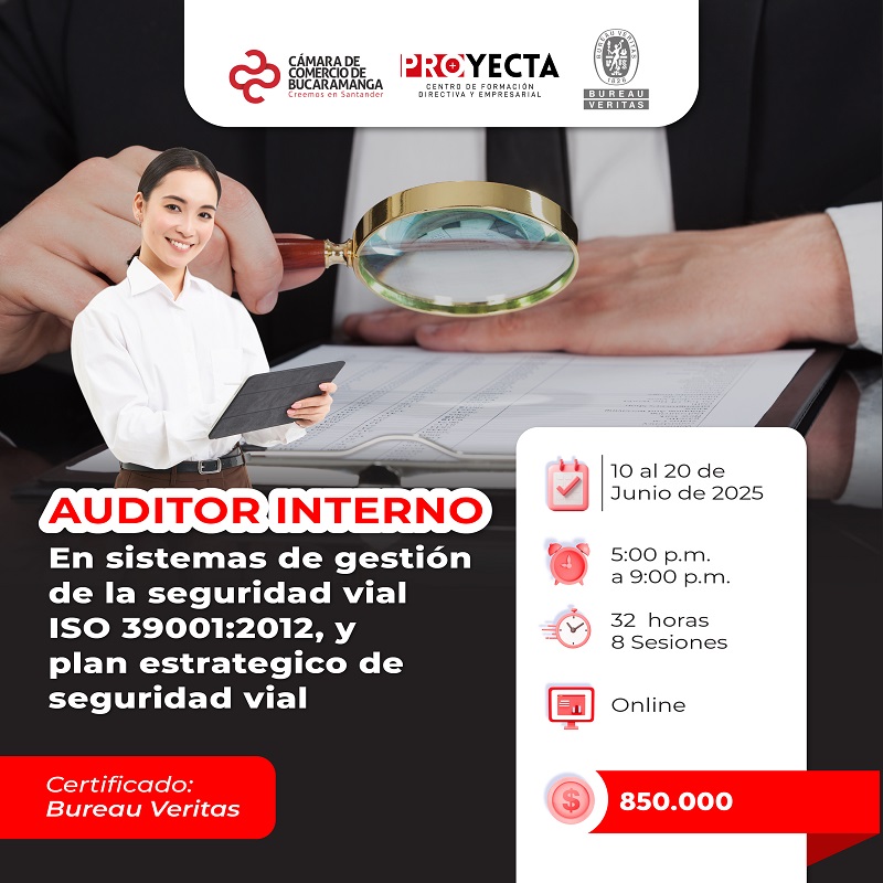 AUDITOR INTERNO EN EL SISTEMA DE GESTIÓN SEGURIDAD VIAL 