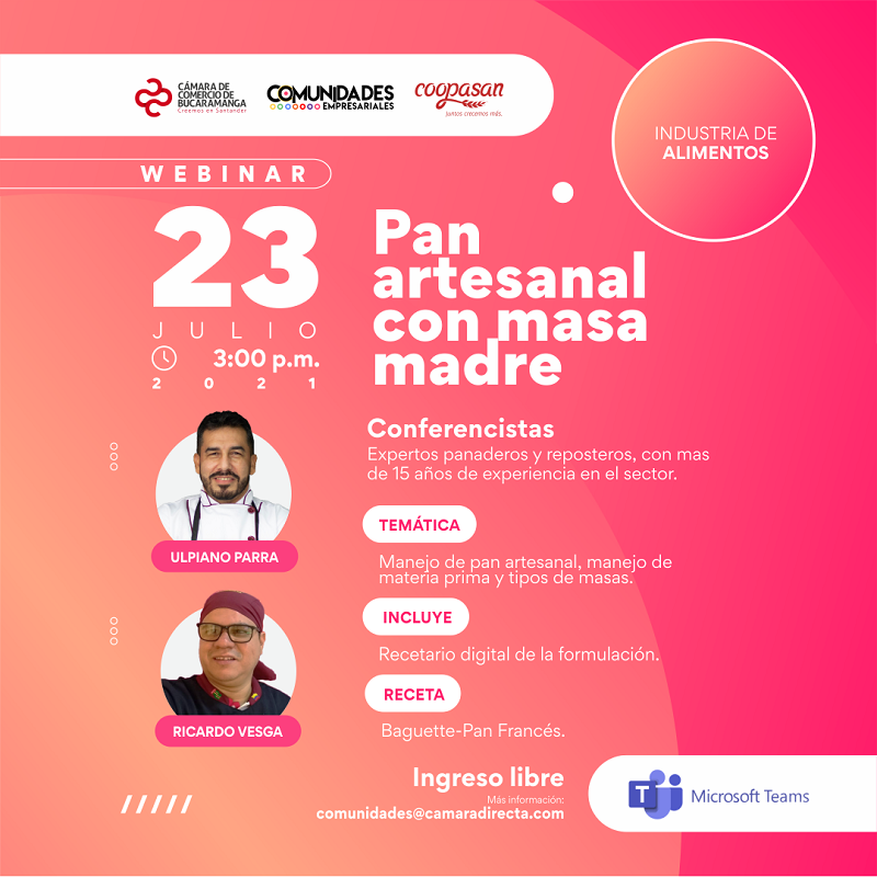 WEBINAR PAN ARTESANAL CON MASA MADRE