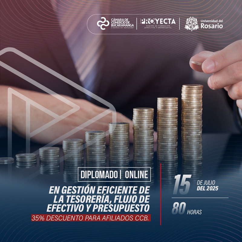 DIPLOMADO EN GESTIÓN EFICIENTE DE LA TESORERÍA, FLUJO DE EFECTIVO Y PRESUPUESTO