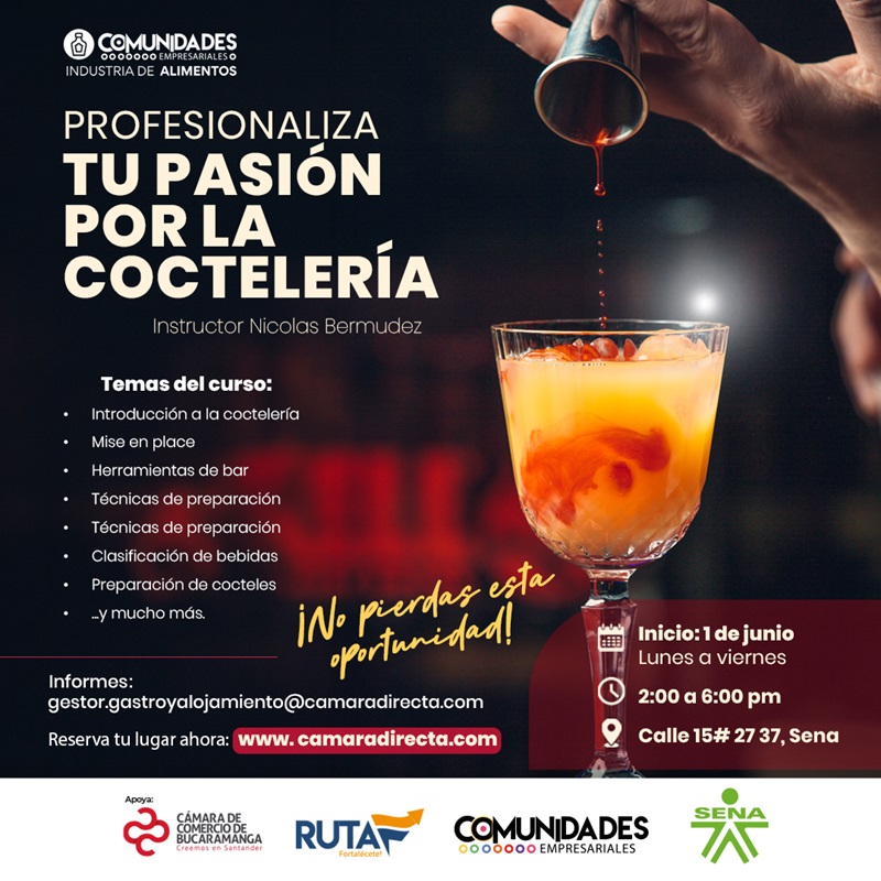 PROFESIONALIZA TU PASI&Oacute;N POR LA COCTELER&Iacute;A