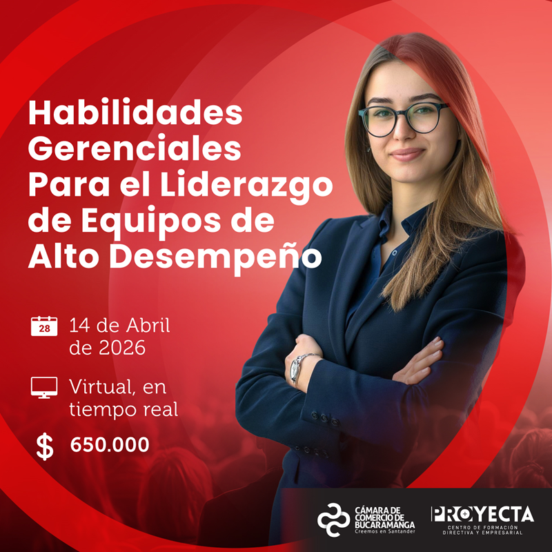 HABILIDADES GERENCIALES PARA EL LIDERAZGO DE EQUIPOS DE ALTO DESEMPE&Ntilde;O (EAD)