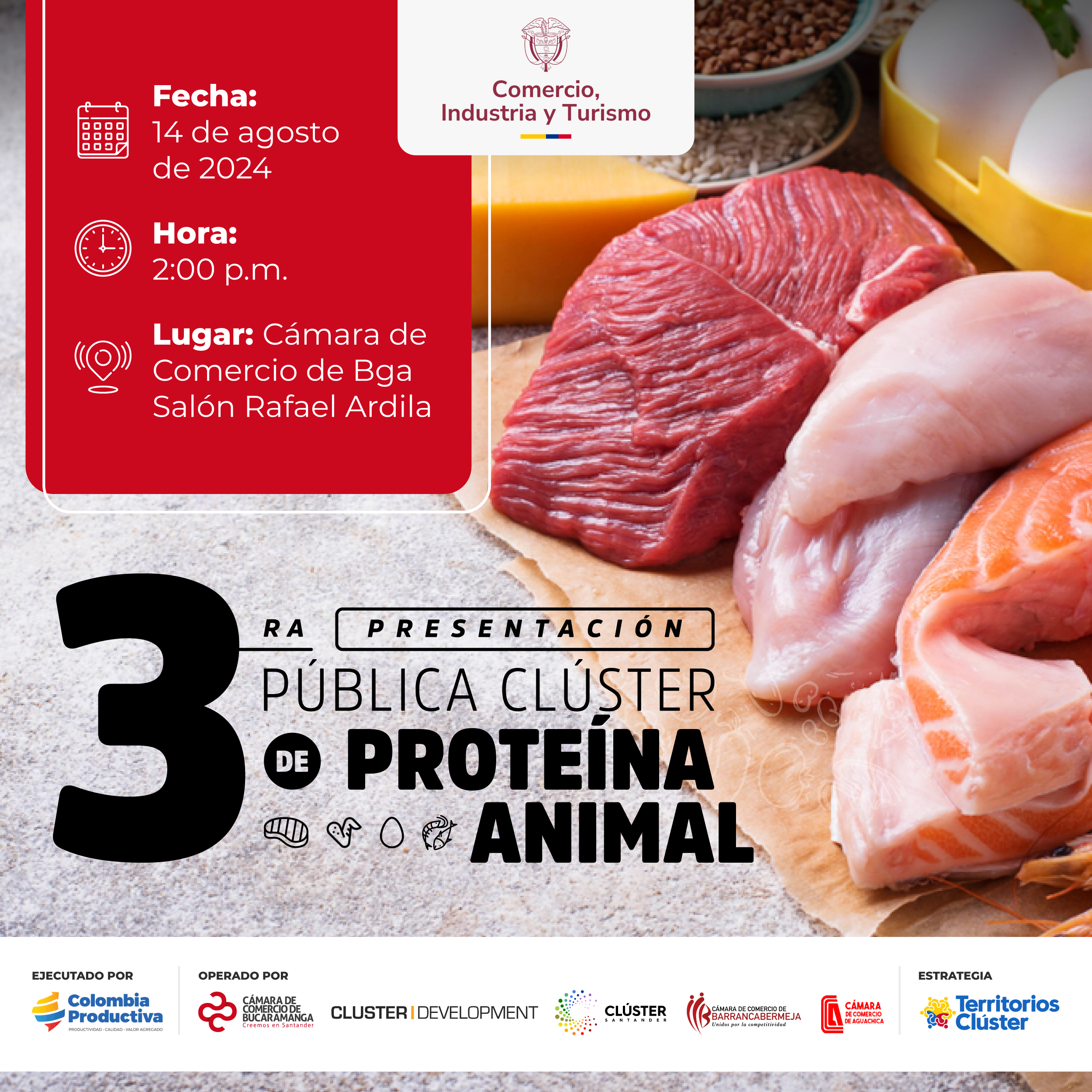 3ERA PRESENTACIÓN PÚBLICA DEL CLÚSTER DE PROTEINA ANIMAL