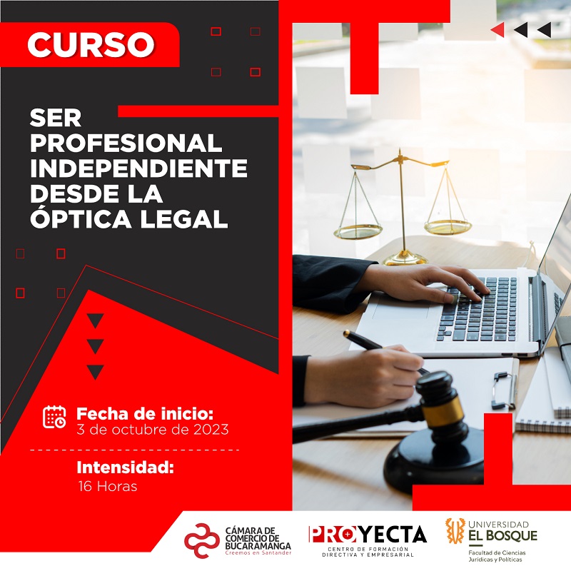CURSO SER PROFESIONAL INDEPENDIENTE DESDE LA ÓPTICA LEGAL