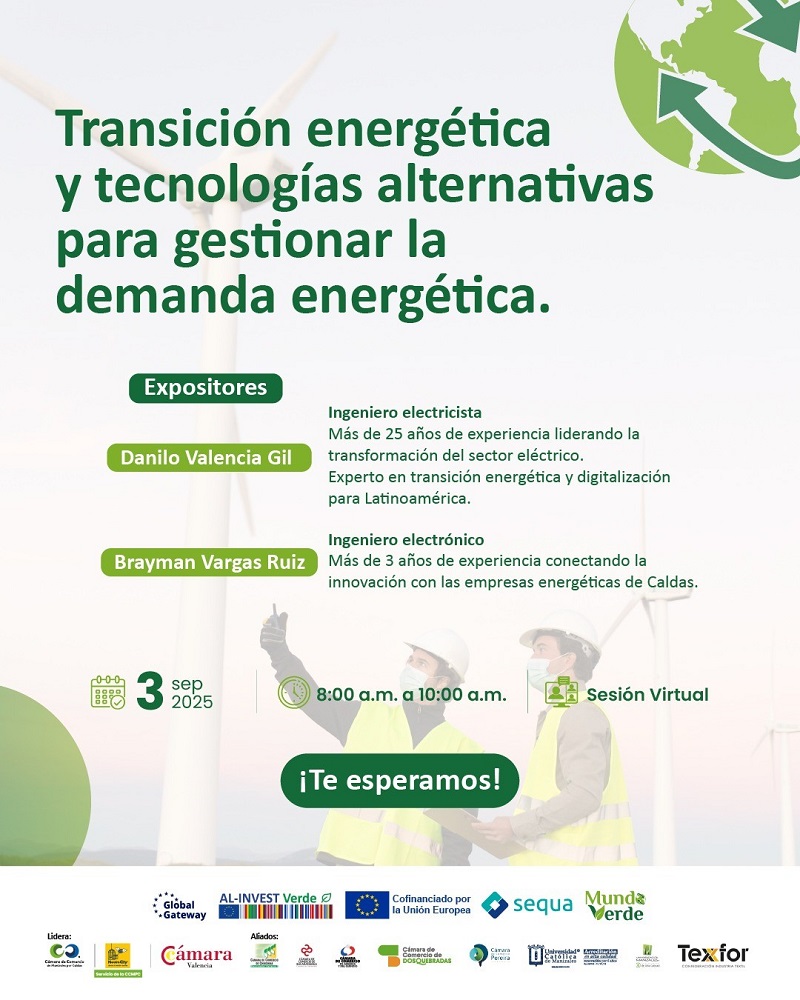 TRANSICIÓN ENERGÉTICA Y TECNOLOGÍAS ALTERNATIVAS PARA GESTIONAR LA DEMANDA ENERGÉTICA