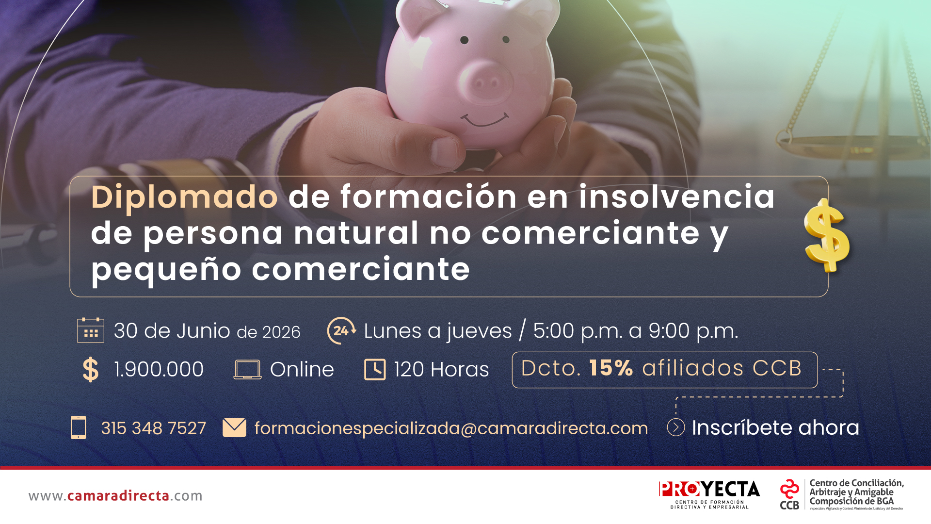 DIPLOMADO DE FORMACI&Oacute;N EN INSOLVENCIA DE PERSONA NATURAL NO COMERCIANTE Y PEQUE&Ntilde;O COMERCIANTE