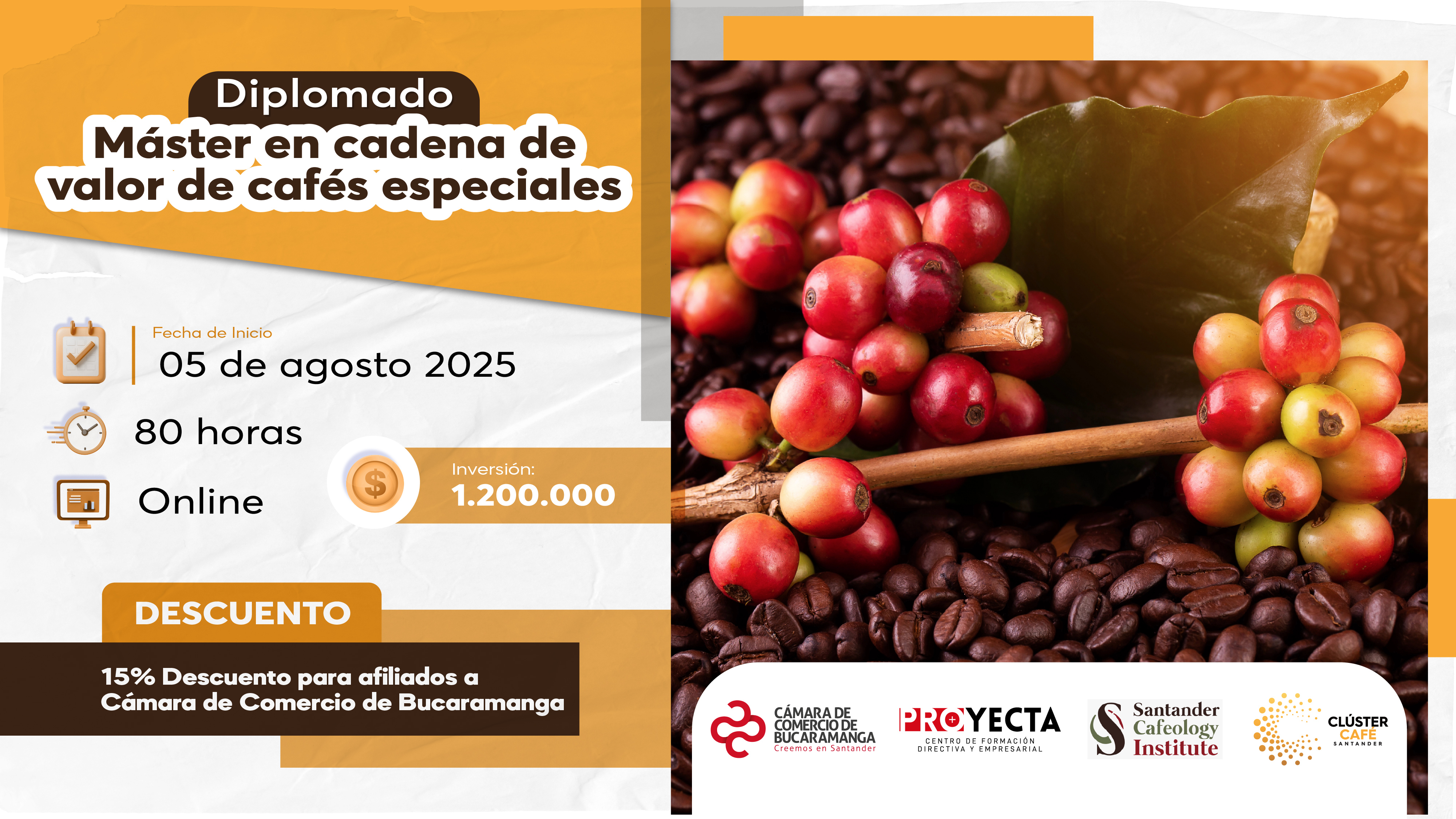 DIPLOMADO MÁSTER EN  CADENA DE VALOR  DE CAFÉS ESPECIALES
