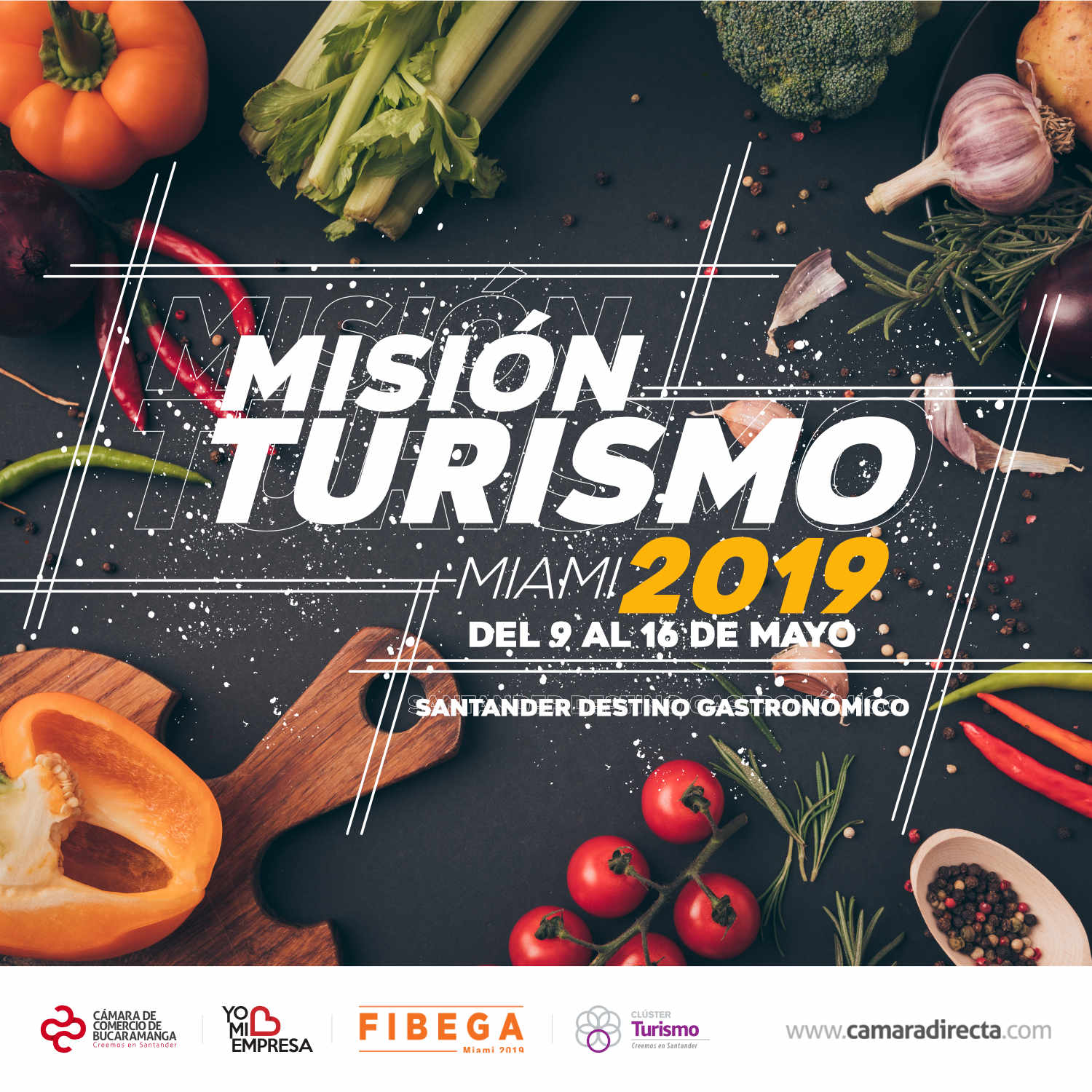 MISI&Oacute;N EMPRESARIAL - SECTOR TURISMO