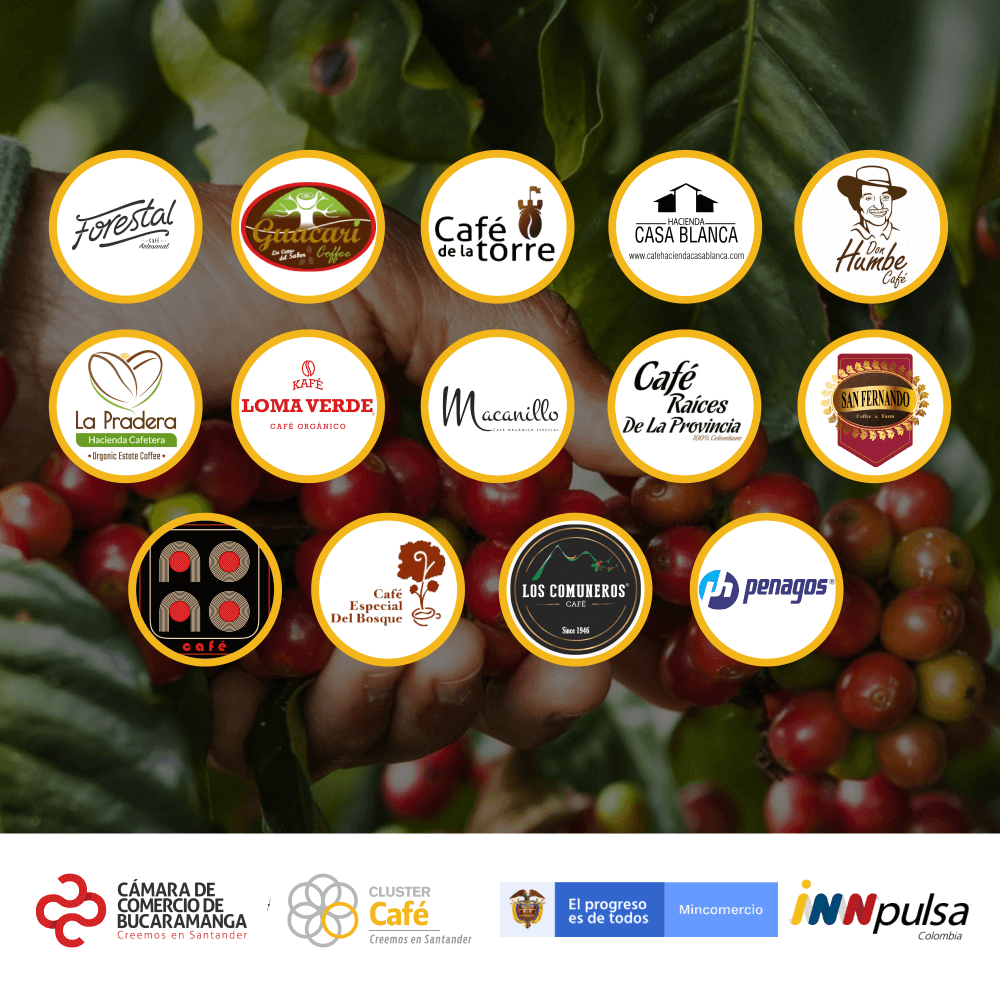 Cluster Café