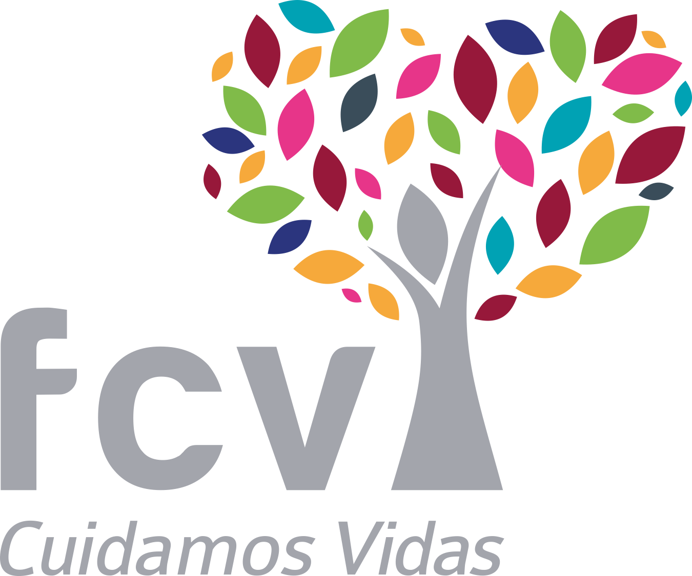 Fundación Cardiovascular de Colombia - FCV