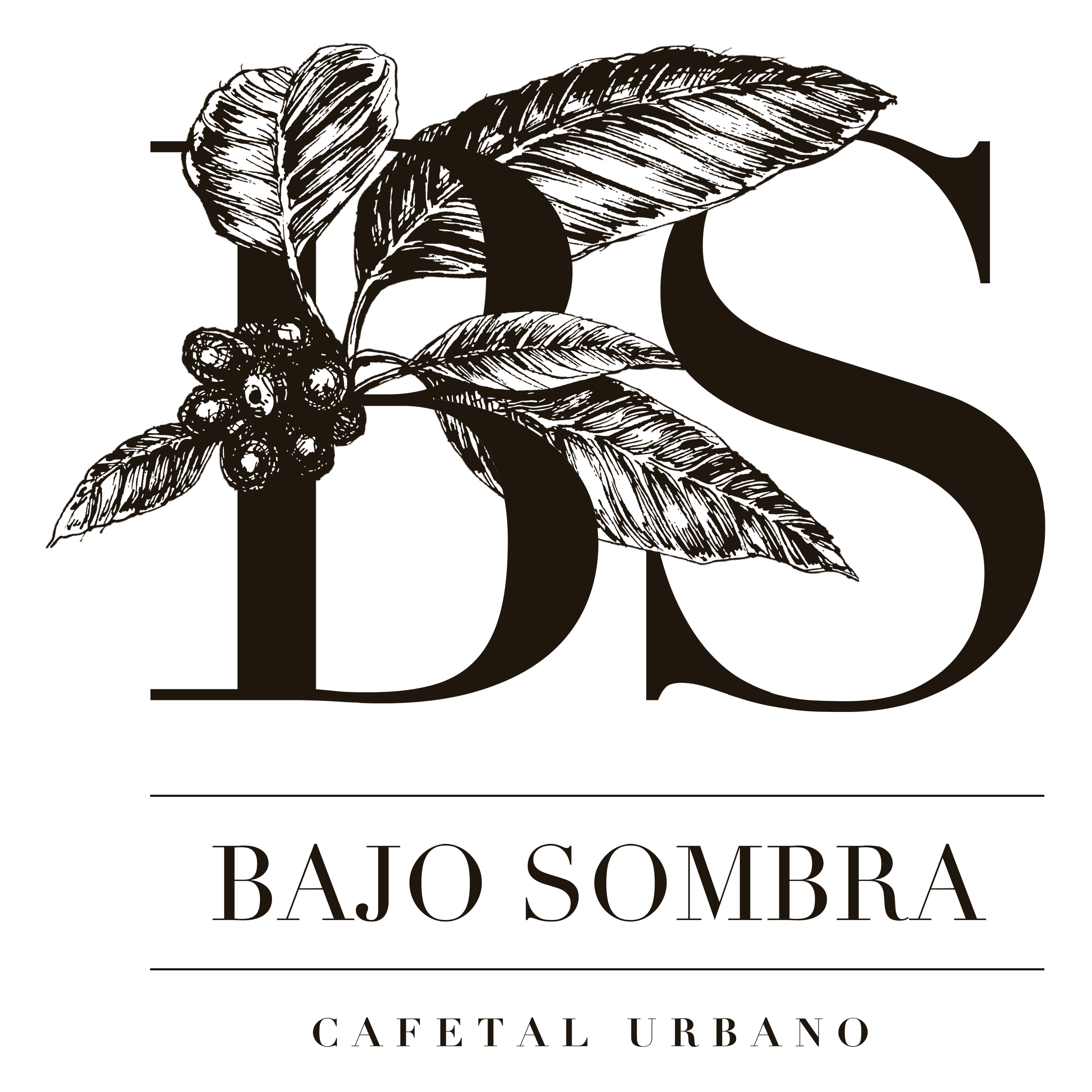 Café Bajo Sombra