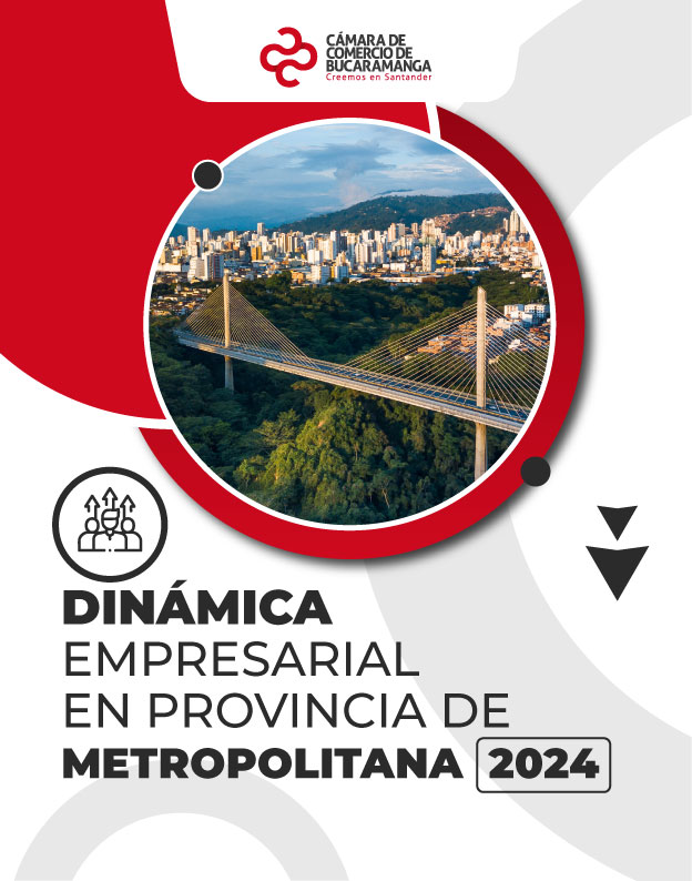 Dinámica Empresarial en Provincia Metropolitana 2024