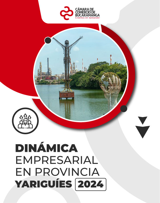 Dinámica Empresarial en Provincia de Yariguíes 2024